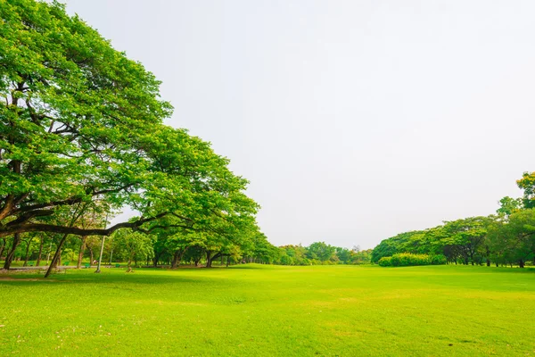 美しい緑豊かな公園と草原 — ストック写真