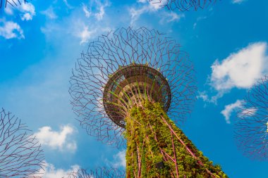 Supertree Grove Gardens Körfez görünümünü