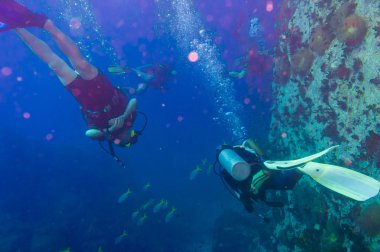 Scuba Diver mercan açık mavi su üzerinde