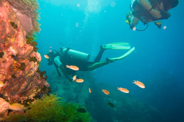Buceador en arrecife de coral en agua azul clara — Foto de Stock