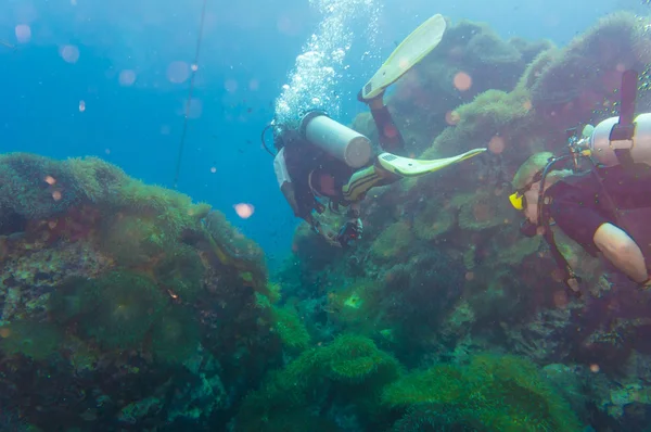 Buceador en arrecife de coral en agua azul clara — Foto de Stock