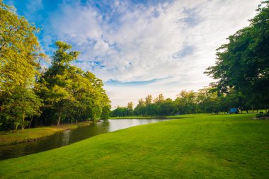 Yeşil çimenlerin üzerinde Bangkok park alanı