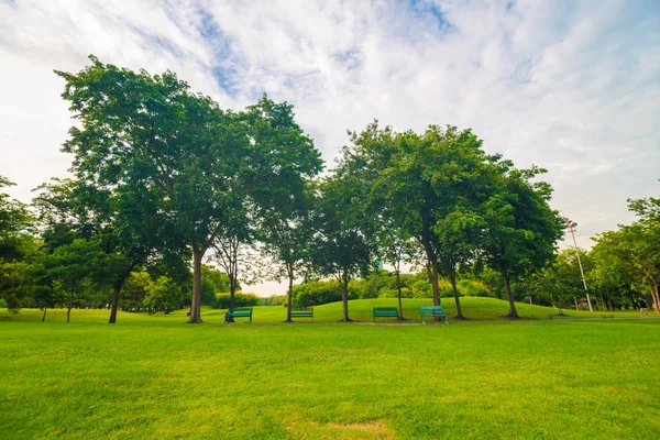 Césped verde en el campo del parque en Bangkok —  Fotos de Stock