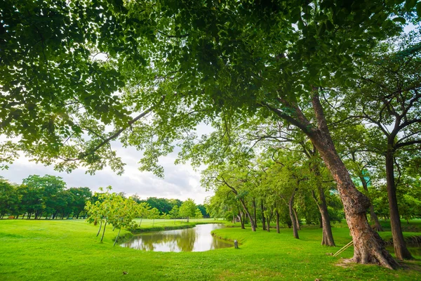 Färgglada träd över sjön med reflektion — Stockfoto