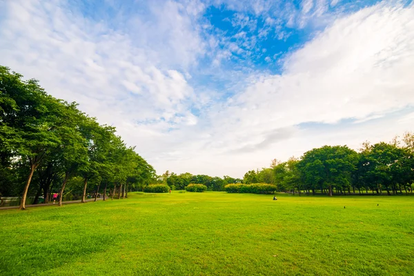 Césped verde en el campo del parque en Bangkok —  Fotos de Stock
