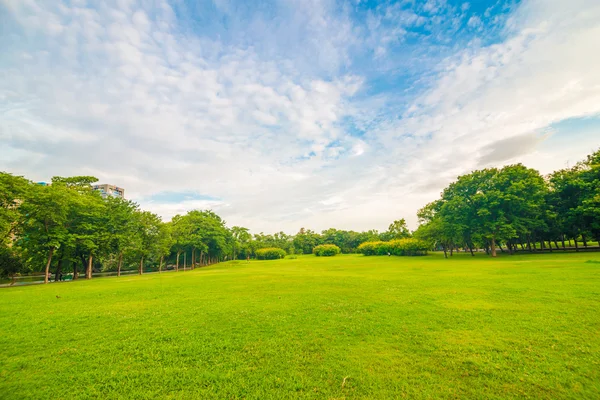 Gramado verde no campo do parque em Bangkok — Fotografia de Stock