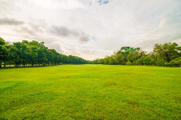 Green lawn on park field in Bangkok — Stock Photo, Image