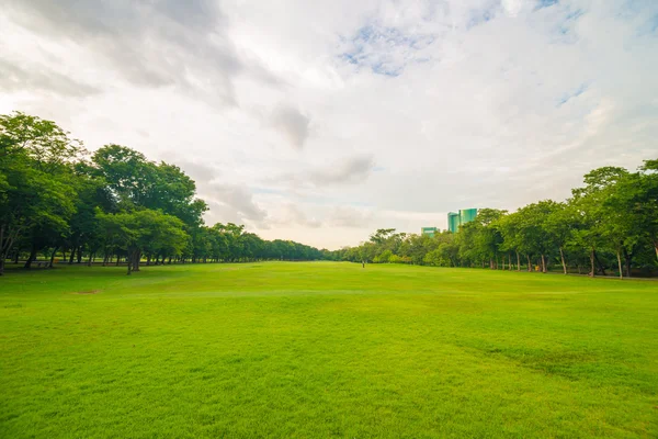 Green lawn on park field in Bangkok — Stock Photo, Image