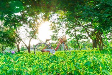 Bisiklet Park yeşil çayır