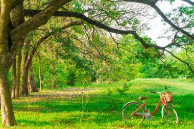 Klasik Bisiklet park