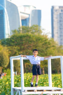 Asyalı okul çocuğu, şehir parkında rahatla, gün batımı, gün batımı, şehir çocuğu.