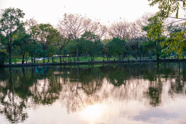 Yeşil ağaç şehrindeki nehir halk parkı günbatımı gökyüzü manzarası