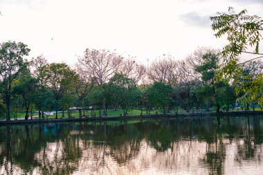 Yeşil ağaç şehrindeki nehir halk parkı günbatımı gökyüzü manzarası