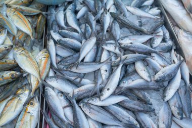 Ton balıklarının geçmişi Tayland 'da geleneksel balıkçılık pazarında satılıyor