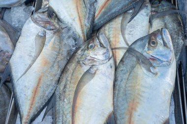 Ton balıklarının geçmişi Tayland 'da geleneksel balıkçılık pazarında satılıyor