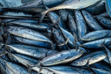 Ton balıklarının geçmişi Tayland 'da geleneksel balıkçılık pazarında satılıyor