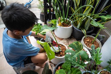 Mutlu okul çocuğu, kasabanın bahçesinde çiçek dikmeyi ve canavar bitkisini öğreniyor. Kasaba çiftliği.
