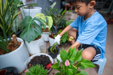 Mutlu okul çocuğu, kasabanın bahçesinde çiçek dikmeyi ve canavar bitkisini öğreniyor. Kasaba çiftliği.