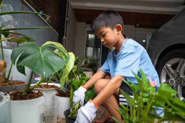Mutlu okul çocuğu, kasabanın bahçesinde çiçek dikmeyi ve canavar bitkisini öğreniyor. Kasaba çiftliği.