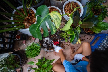 Mutlu okul çocuğu, kasabanın bahçesinde çiçek dikmeyi ve canavar bitkisini öğreniyor. Kasaba çiftliği.