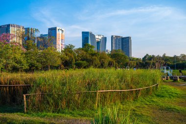 Bangkok Tayland 'daki yeşil şehir parkı inşaatı