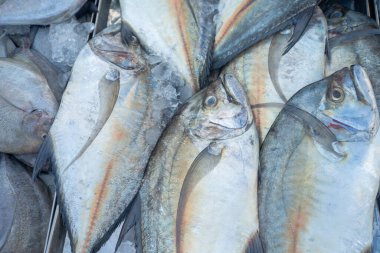 Çeşitli ton balığı sürülerinin geçmişi geleneksel balıkçılık pazarında Tayland gıda endüstrisinde satılıyor