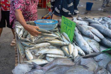 Geleneksel balıkçılık pazarında insanlar deniz balıklarını elle avlıyor.