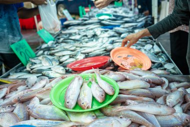 Geleneksel balıkçılık pazarında insanlar deniz balıklarını elle avlıyor.