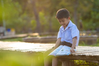 Küçük okul çocuğu şehir parkında çimenler hakkında kitap okudu. Gün batımı hafif doğa eğitimi.