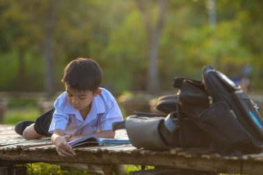 Küçük okul çocuğu şehir parkında çimenler hakkında kitap okudu. Gün batımı hafif doğa eğitimi.