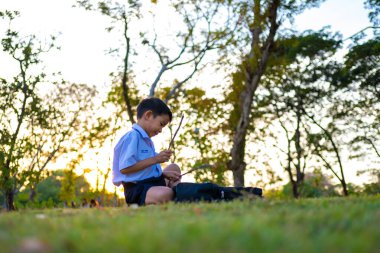Küçük okul çocuğu şehir parkında çimenler hakkında kitap okudu. Gün batımı hafif doğa eğitimi.