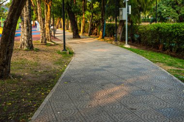 Yeşil Ağaç Ormanı Yolu. Şehir parkı doğa manzarası.