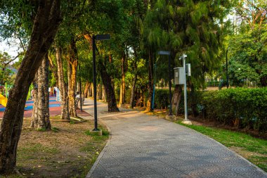 Yeşil Ağaç Ormanı Yolu. Şehir parkı doğa manzarası.