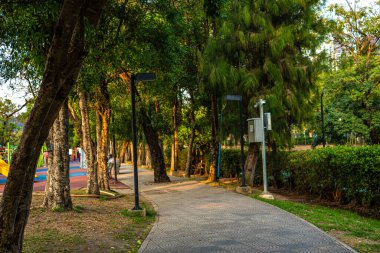 Yeşil Ağaç Ormanı Yolu. Şehir parkı doğa manzarası.