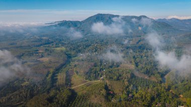 Hava manzaralı tropikal yağmur ormanı dağ günbatımı aydınlık doğa manzarası