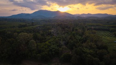 Hava manzaralı tropikal yağmur ormanı dağ günbatımı aydınlık doğa manzarası