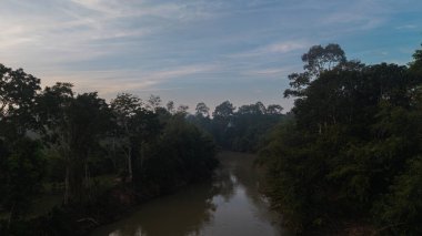Hava manzaralı tropikal yağmur ormanı dağ günbatımı aydınlık doğa manzarası