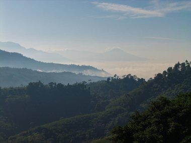 Hava manzaralı tropikal yağmur ormanı dağ günbatımı aydınlık doğa manzarası