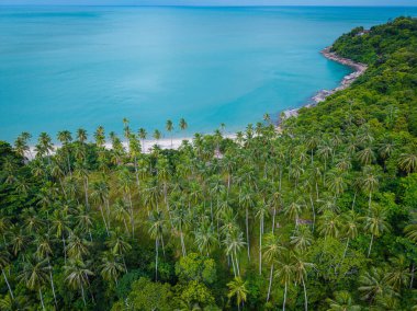 Hava manzaralı beyaz kumsal sahili hindistan cevizi palmiyesi tropik orman yaz tatili arka planı