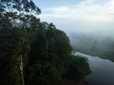 Hava manzaralı tropikal yağmur ormanı nehri sabah güneşi sisli doğa manzaralı
