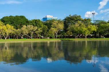Nehir kenti parkıyla yeşil manzara doğa parkı mavi gökyüzü bulutlu doğa manzarası
