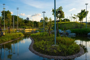 Nehir kenti parkıyla yeşil manzara doğa parkı mavi gökyüzü bulutlu doğa manzarası