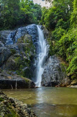 Yeşil yağmurlu ağaç manzaralı derin tropikal yağmur ormanlarında şelale.