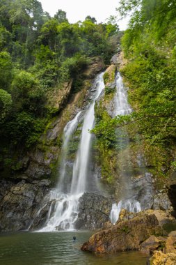 Yeşil yağmurlu ağaç manzaralı derin tropikal yağmur ormanlarında şelale.