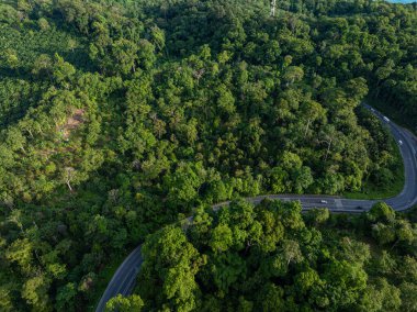 Tropikal yağmur ormanı dağ taşımacılığı üzerindeki hava manzaralı nakliye yolu doğada