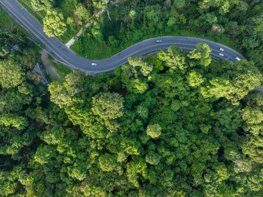 Tropikal yağmur ormanı dağ taşımacılığı üzerindeki hava manzaralı nakliye yolu doğada