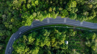 Tropikal yağmur ormanı dağ taşımacılığı üzerindeki hava manzaralı nakliye yolu doğada