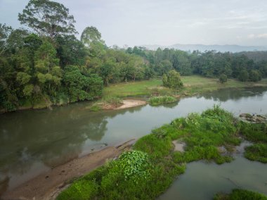 Hava manzarası tropikal yeşil ağaç nehir ekoloji sistemi doğa manzarası öngörüyor