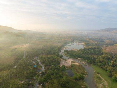 Hava manzarası tropikal yeşil ağaç nehir ekoloji sistemi doğa manzarası öngörüyor
