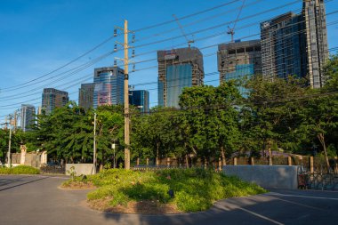 Şehir parkındaki yol. Yeşil ağaç ormanı. Gün batımı.